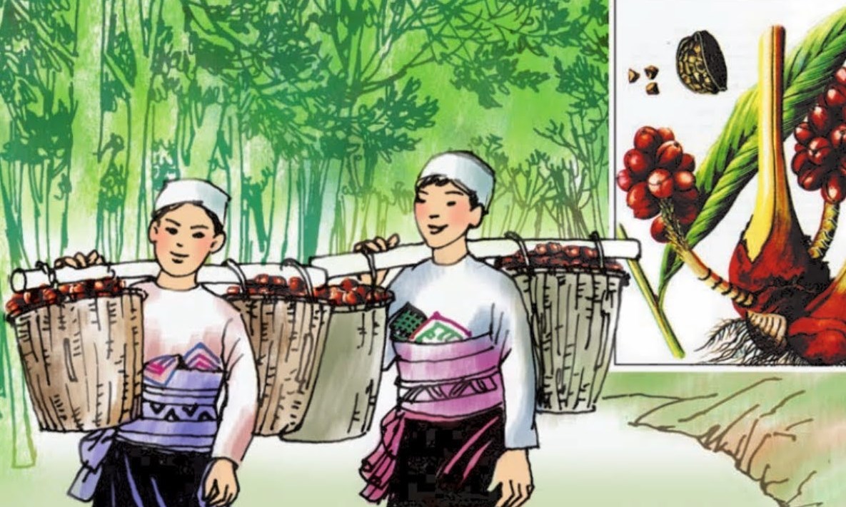 Mùa thảo quả (Bài đọc hiểu tiếng Việt lớp 5 - đề số 25 - luyện thi học sinh giỏi lớp 5)